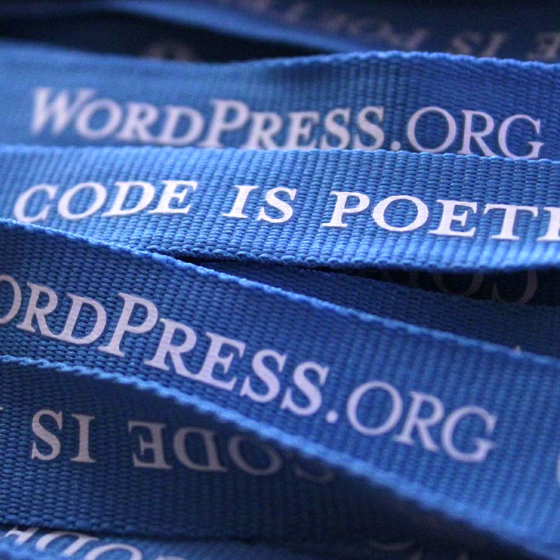 san marino web agency web digital marketing wordpress hosting